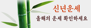 켺 Ǯ ǿ